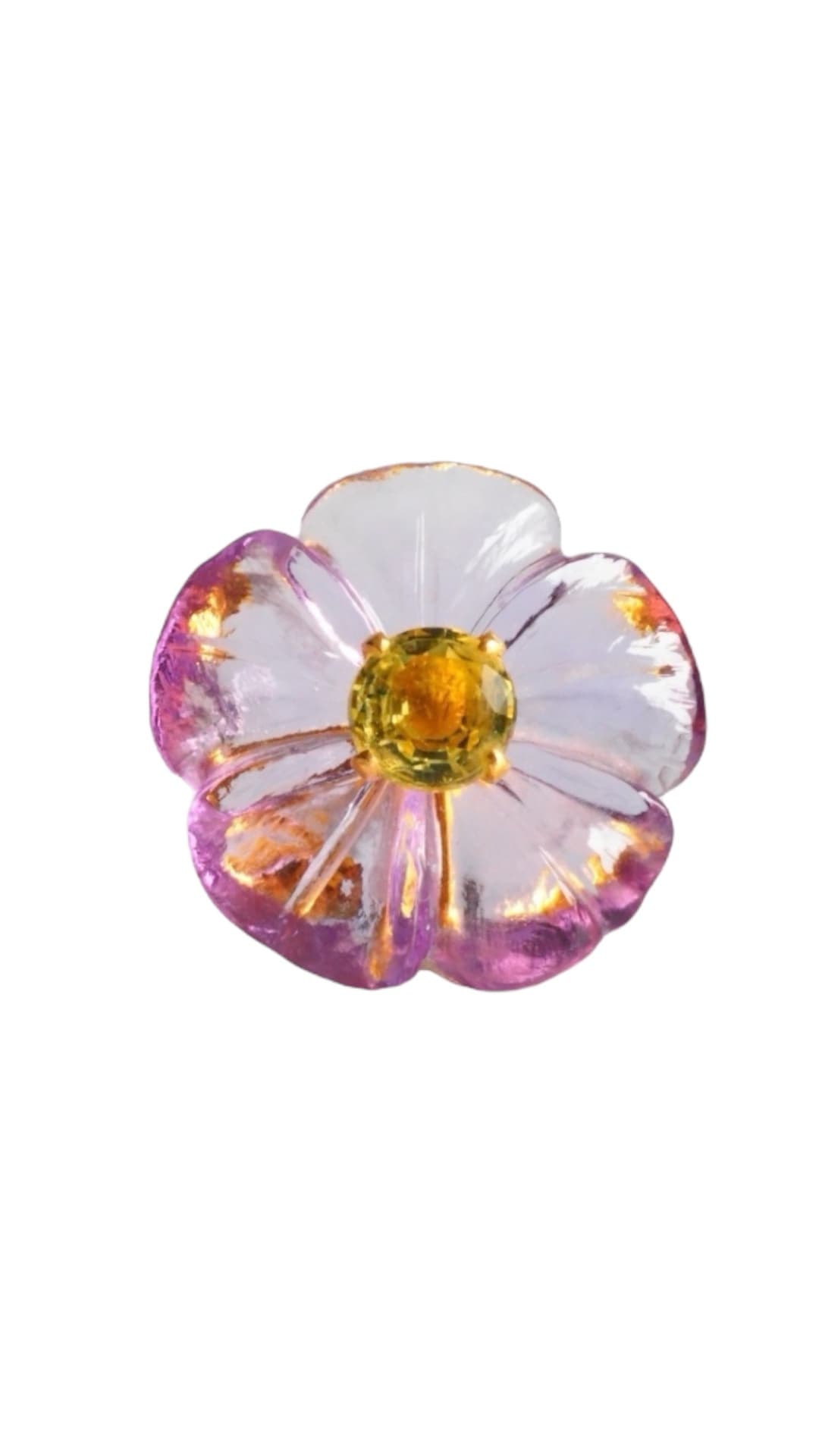 Violet ring（正面）