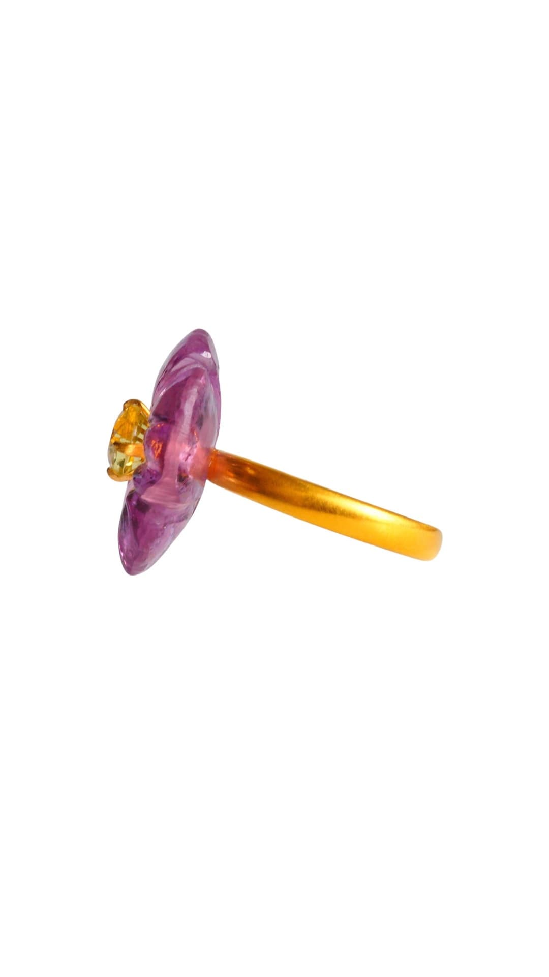 Violet ring(横)